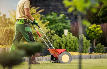 Seeding and Overseeding