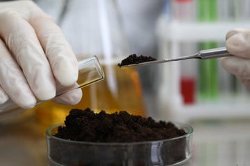 Soil Testing and Treatment